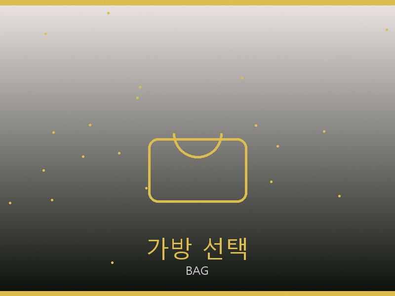 샤넬 레플리카 사이트 가방 선택 가이드