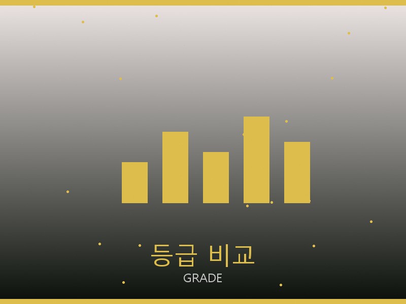샤넬 레플리카 사이트 등급 기준 비교
