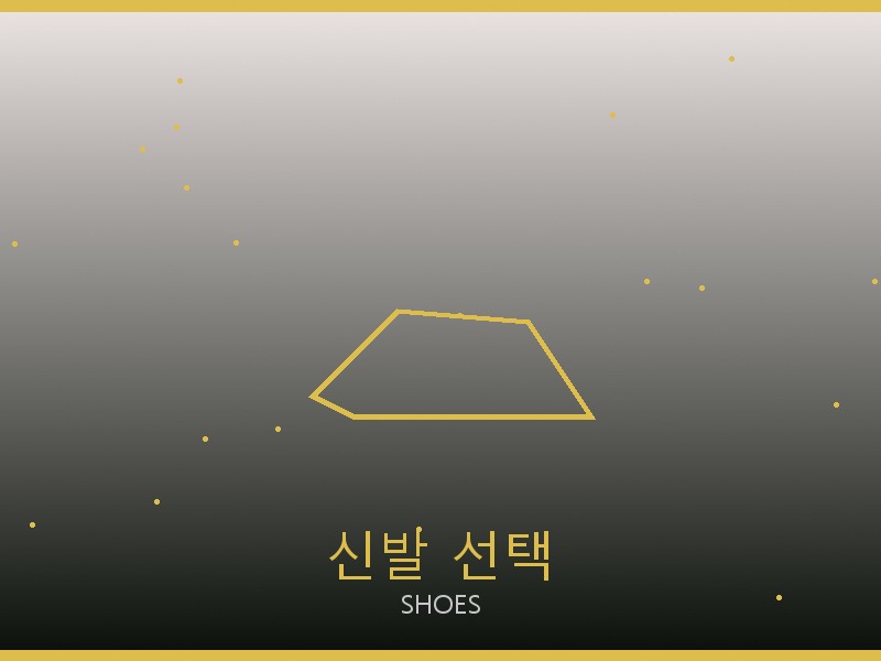 샤넬 레플리카 사이트 신발 선택 가이드